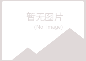 兴山县忆山能源有限公司